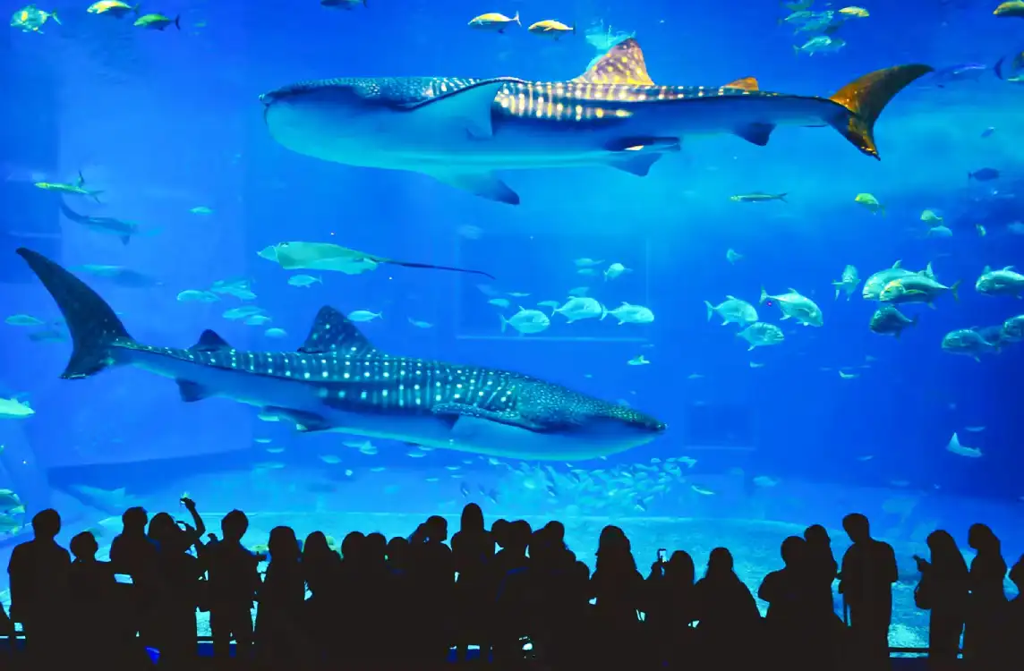 Aquaria Phuket - океанариум на Пхукете